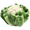 Chou Fleur bio