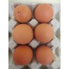 oeufs frais par 6